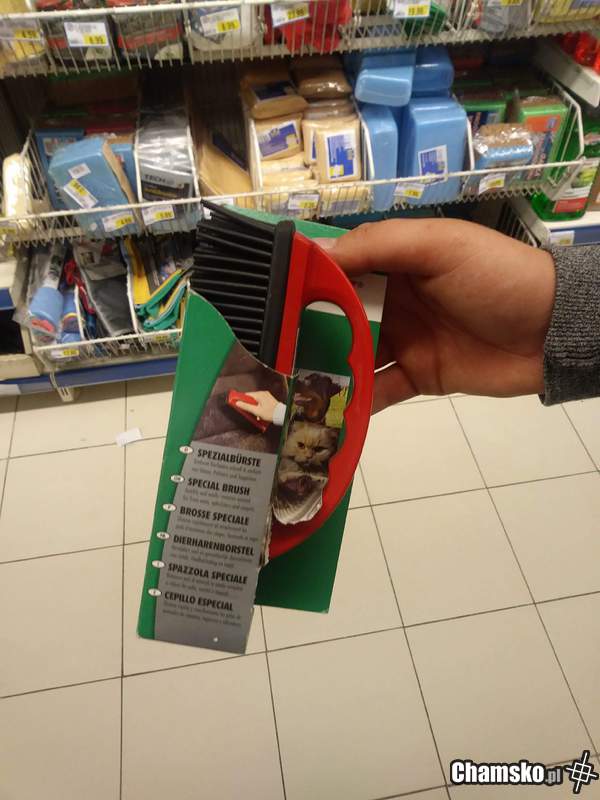 Kastet dla kobiet - chamsko.pl